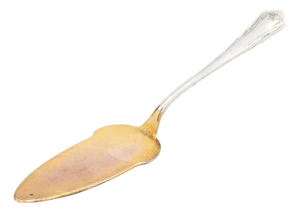 Silver Cake Serving Spatula