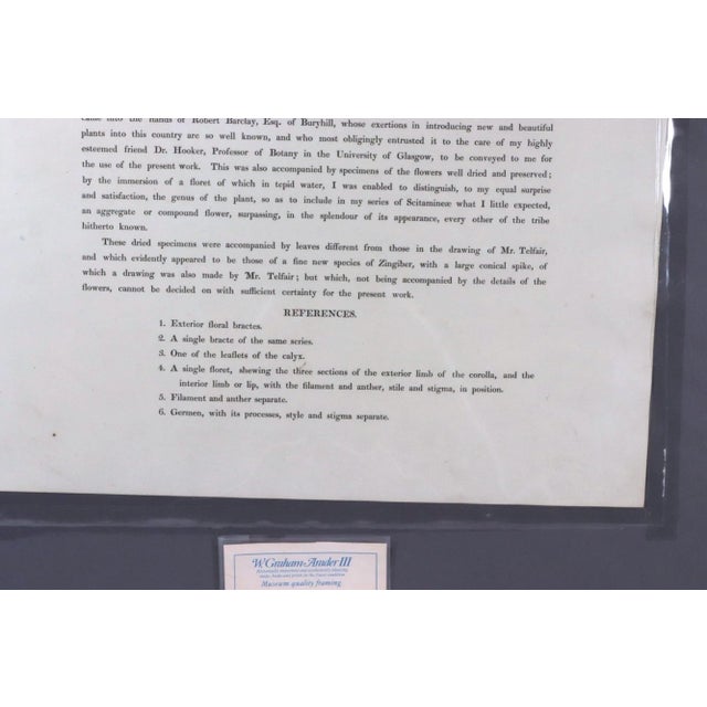 Paper William Roscoe Large Botanical Print of Tropical Plant For Sale - Image 7 of 8