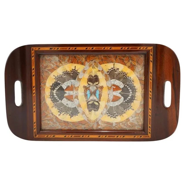 Vintage Morpho Butterfly Tray, 1940s For Sale - Image 11 of 11