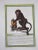 Antique Italian 18th Century Hand Colored Copperplate Monkey Engravings - A Pair For Sale - Image 4 of 5