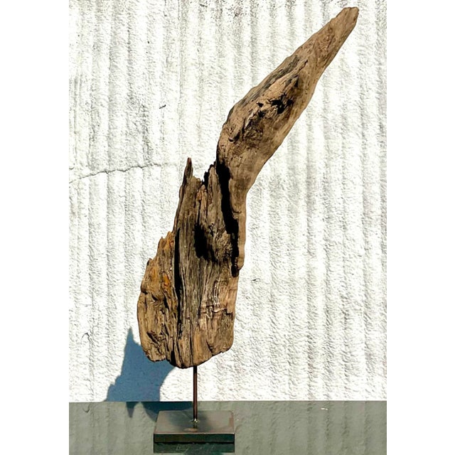 Late 20th Century Late 20th Century Driftwood Sculpture on Steel Plinth For Sale - Image 5 of 13