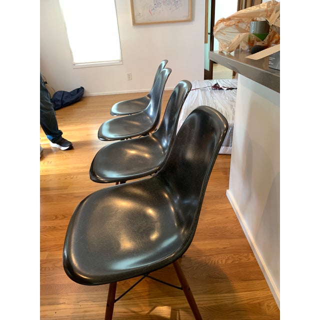 Stellar Works Ren Round Walnut Dining Table + Herman Miller Eames Fiberglass Wood Dowel Chairs For Sale - Image 9 of 13
