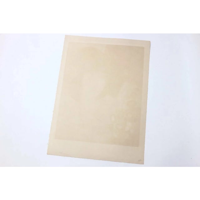 Minaux Original Lithograph Visage Rouge 1967 Signed & Numbered For Sale In Los Angeles - Image 6 of 6