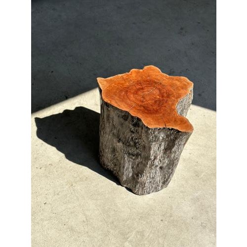 Set of Lychee Stools Forming a Coffee Table For Sale - Image 15 of 18