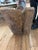 Antique Primitive Thai Ram Sculpture For Sale - Image 16 of 18