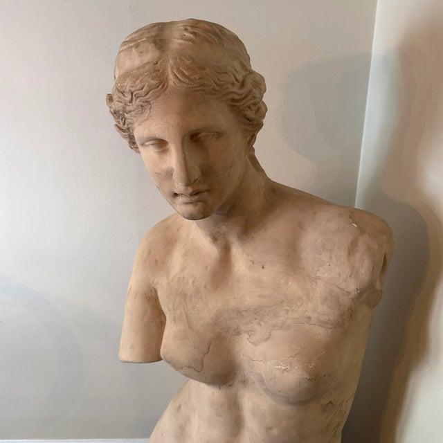 1970s Vintage Oversized Elegant Fiberglass Venus De Milo Bust For Sale In Atlanta - Image 6 of 12