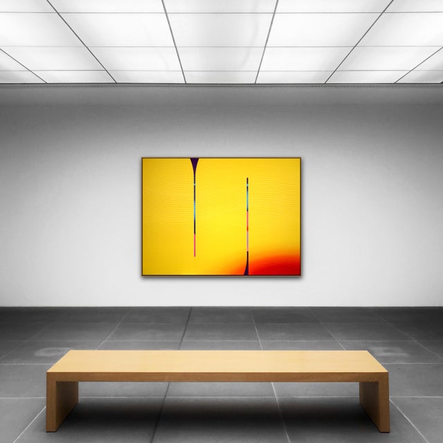 This work is exclusive to IdeelArt. The work will be shipped rolled in a tube. Born in Paris in 1967 and an alumnus of the...