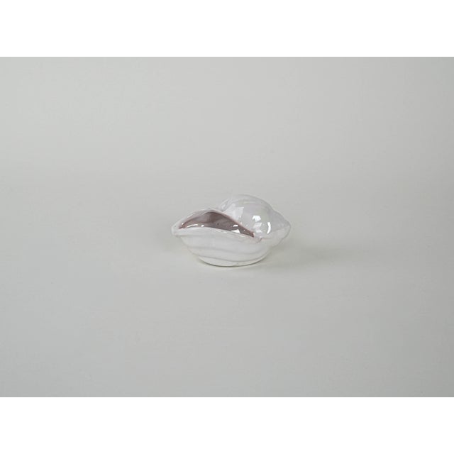 Italian Porcelain Seashell, 1970s For Sale - Image 4 of 10