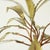 Copper Palm Tree on Rock Sculpture by Daniel Dhaeseleer, 1970s For Sale - Image 12 of 13