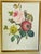 Mini Vintage P.F.Redoute Chromolithograph Rose, Anemones in Brass Frame For Sale - Image 4 of 5