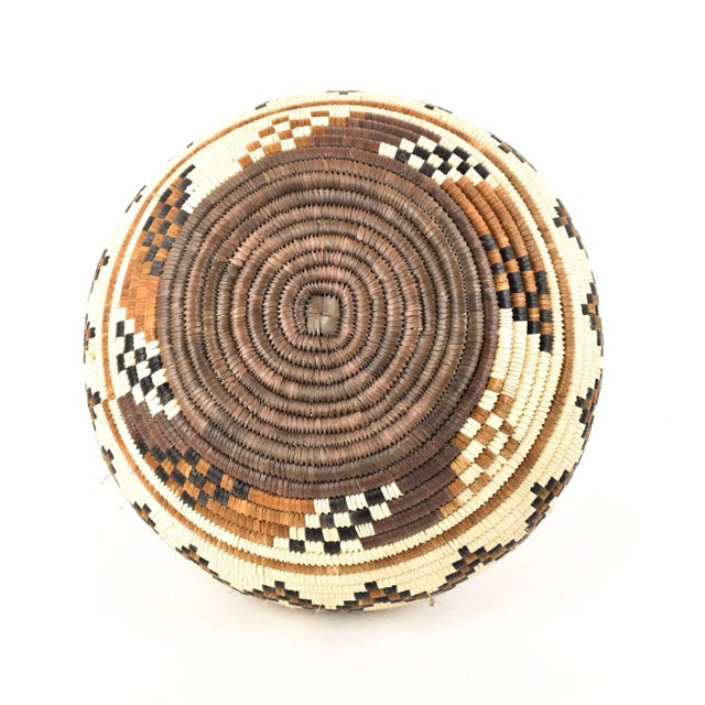 Wood South African Contemporary Lidded Basket For Sale - Image 7 of 9