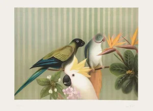 1985 Arnaud D'Hauterives Talking Birds Lithograph