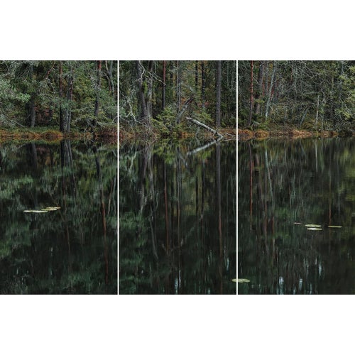 Bernhard Lang, deep_mirroring_forest_006 Triptych, Limited Edition Fine Art Photography, Set of 3 For Sale