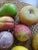 Offered is a lot of 10 vintage Italian alabaster fruit which includes an apple, 2 peaches, 2 pears (one green, one...