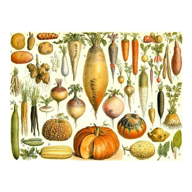 French Country Shopping Vintage