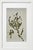 Contemporary Set of 6 - One-of-a-Kind Dark Green & Cream Botanical Organic Modern Original Oil Paintings / Contemporary Herbarium / Floral / Earth Tones For Sale - Image 3 of 18