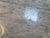 Interior Icons Tulip Table With Carrera Tabletop For Sale - Image 9 of 12