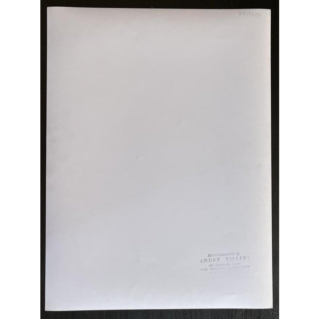 Modern André Villers, Salvador Dali, Photograph For Sale - Image 3 of 5