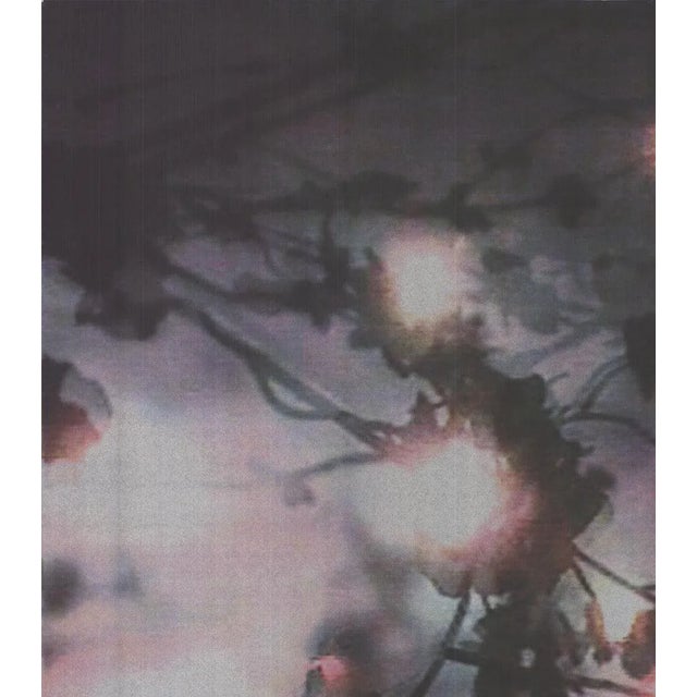 Artist: Ena Swansea Title: American Dance Festival 1999 Year: 1999 Signed: No Medium: Serigraph Paper Size: 42.5 x 30...