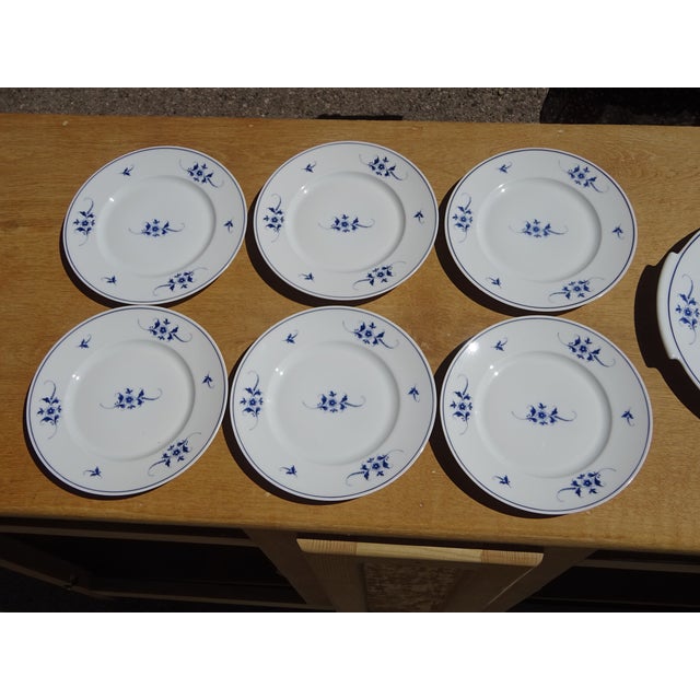 Limoges Porcelain Dessert Service from Maison Bernardaud, 1950s, Set of 13 For Sale - Image 10 of 18