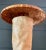 Mid 20th Century Organic Woven Wicker and Bamboo Wall Sconce For Sale - Image 4 of 12