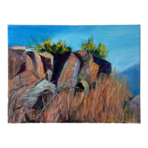 Late 20th Century Cactus Flower Rock Landscape Oil Pastel Painting