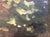 Vintage Oil on Board Signed by Artist For Sale - Image 13 of 14