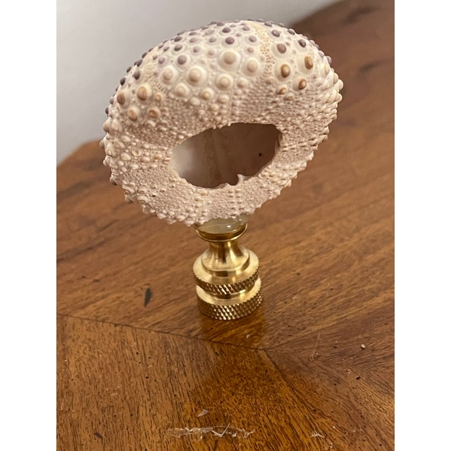Gorgeous Coastal Purple Sea Shells Lamp Finials For Sale - Image 4 of 4