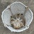 French Iron Aged Planter For Sale - Image 10 of 11