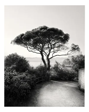 Bay of Poets - Black and White Analogue Photogrpahy of Italian Coast, 100 X 80cm 2023