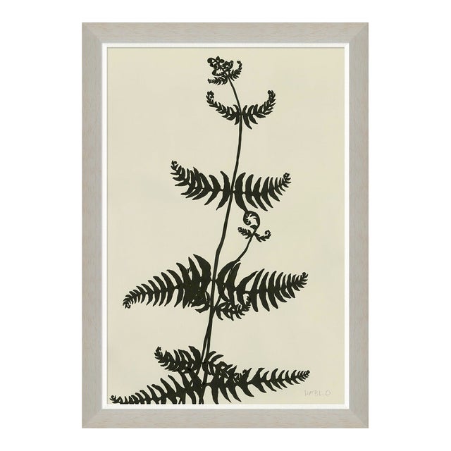 Ink on Paper - Fern by Susan Hable For Sale