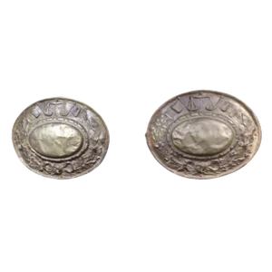 Late 19th Century Repousse Plaques - a Pair