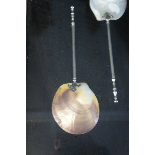 Early 20th Century Antique Pair of Large Mother of Pearl Serving Spoons Shadow Box Framed Art For Sale - Image 5 of 10