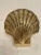 Late 20th Century Pair Brass Clam Shell Seashell Bookends For Sale - Image 5 of 8