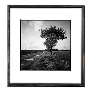 Paul Cooklin, Puddles, Occold Farm, Suffolk, Edition of 50 For Sale