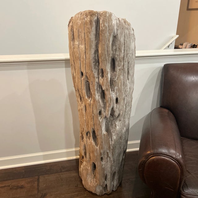 2006 Driftwood Sculpture For Sale - Image 13 of 13