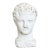 English 20th Century Stone Bust of a Greco-Roman Youth For Sale