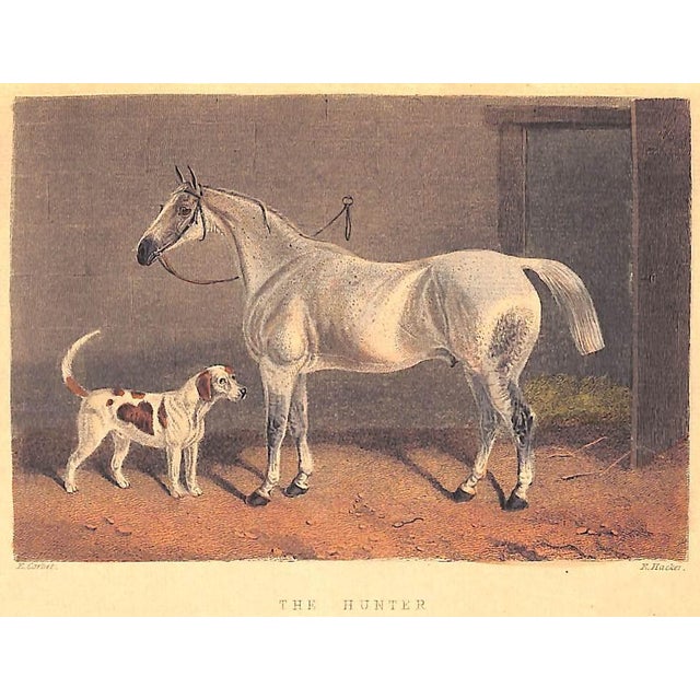 "The Noble Science: A Few General Ideas on Fox-Hunting" 1893 Blew, William c.A. For Sale - Image 4 of 12