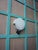 Dutch Lotus Wall Light from Menno Dieperink, 1982 For Sale - Image 3 of 16