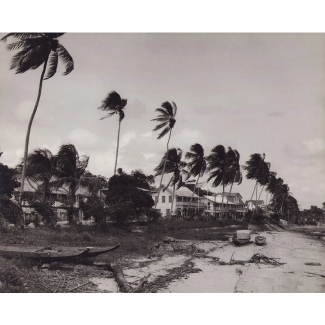 Hanna Seidel, Surinamese River with Palm Trees, Black and White Photograph, 1960s For Sale - Image 3 of 3
