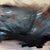 Meriem Delacroix, Asthenia Abstract, 2010s, Mixed Media on Canvas For Sale - Image 6 of 6