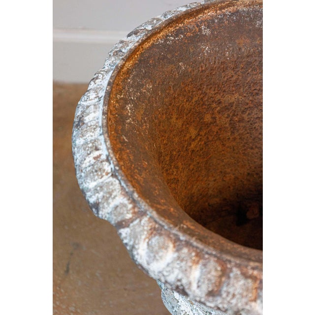 19th Century French Urn For Sale In Atlanta - Image 6 of 9