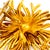 Gold Vintage Tiffany & Co. 18k Yellow Gold Sea Anemone Pin Brooch For Sale - Image 8 of 9