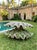 Monumental Resin Giant Clam Shell Garden Statue & Planter Accent For Sale - Image 10 of 12