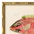 Various Artists Contemporary Reproduction of Vintage Fish (2) Art Print, Framed For Sale - Image 4 of 5