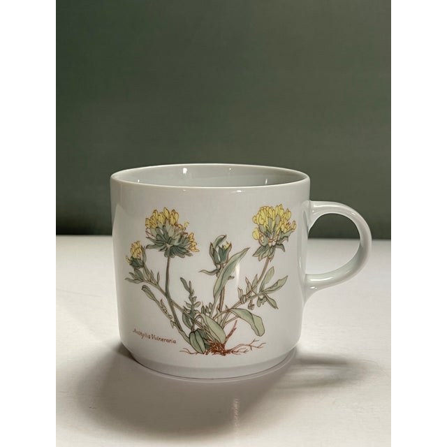 White Late 20th Century Wildflower Coffee Mugs- Set of 4 For Sale - Image 8 of 9