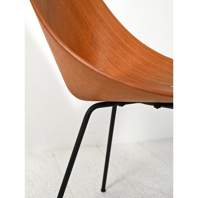 Medea Chairs in Mahogany by Vittorio Nobili for Fratelli Tagliabue, 1950s, Set of 6 For Sale - Image 12 of 15