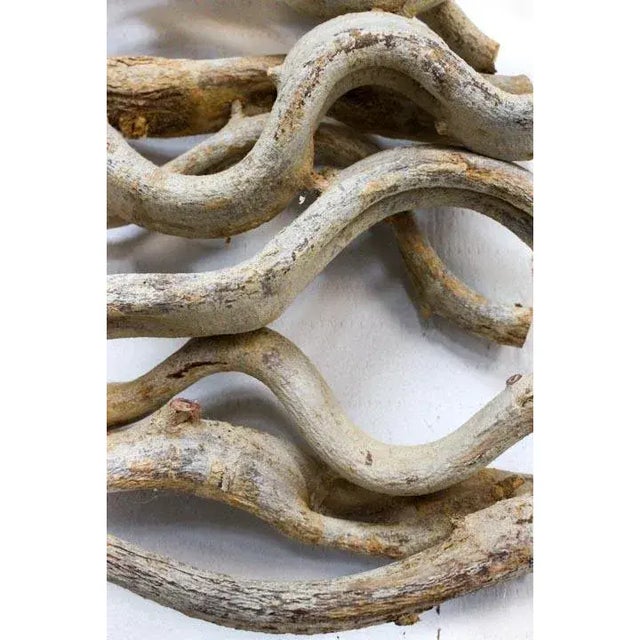 Large Vine Square Grouping - Wall Art Set of 4 For Sale - Image 10 of 10