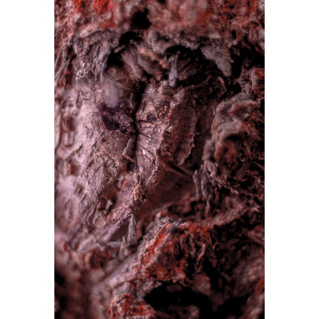 Contemporary Marko Milić, Cocoon, Abstract Photography For Sale - Image 3 of 5
