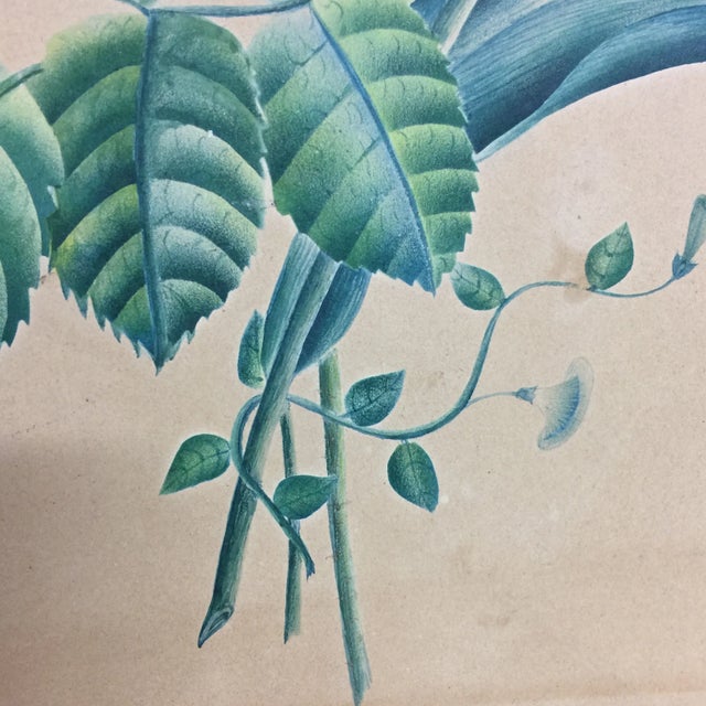 Antique Print of Roses and Tulips For Sale - Image 4 of 4